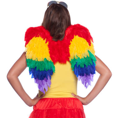 Pride Rainbow Angel Wings - 60 cm Span